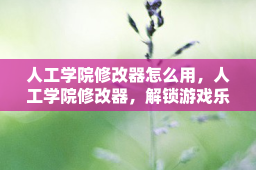 人工学院修改器怎么用图片
