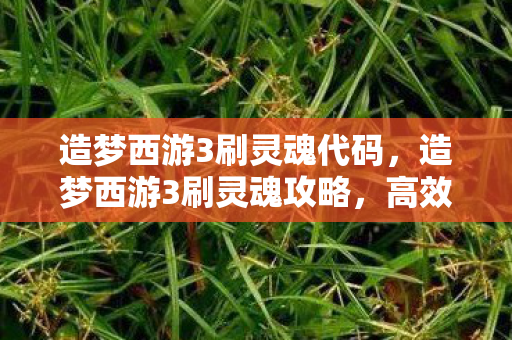 造梦西游3刷灵魂代码图片