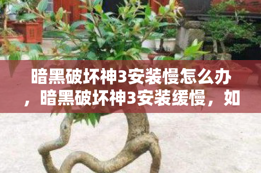 暗黑破坏神3安装慢怎么办，暗黑破坏神3安装缓慢，如何解决？一篇文章带你找到答案！