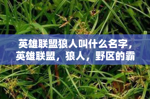 英雄联盟狼人叫什么名字图片