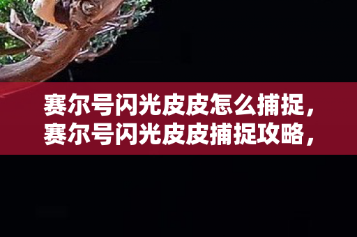 赛尔号闪光皮皮怎么捕捉图片