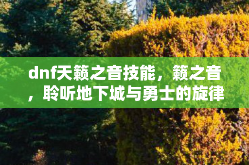 聆听地下城与勇士的旋律图片