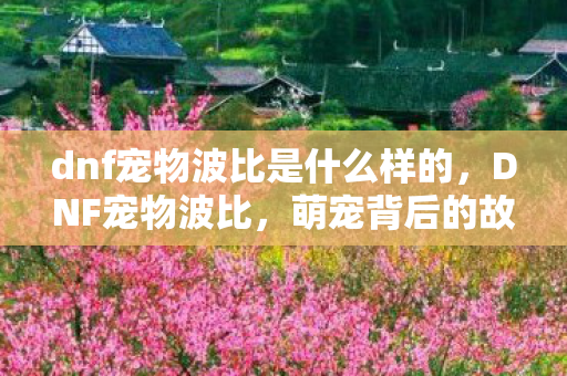 dnf宠物波比是什么样的图片