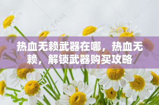 热血无赖武器在哪图片