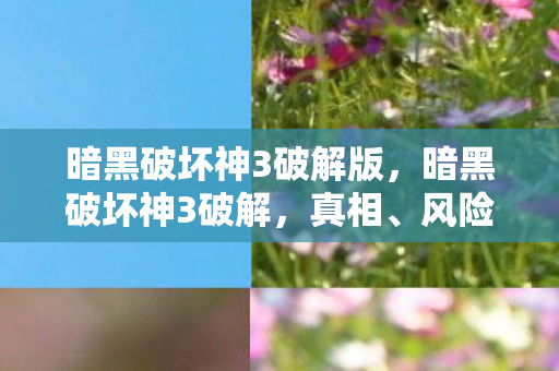 暗黑破坏神3破解版，暗黑破坏神3破解，真相、风险与应对之道