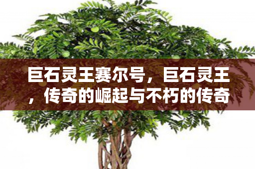 传奇的崛起与不朽的传奇图片