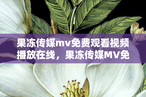 果冻传媒mv免费观看视频播放在线图片