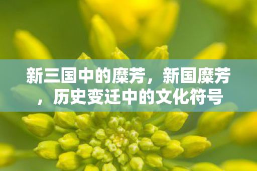 历史变迁中的文化符号图片