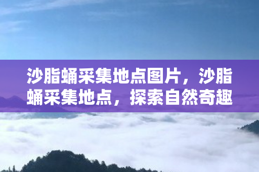 沙脂蛹采集地点图片图片