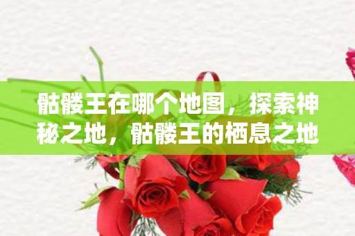 骷髅王在哪个地图，探索神秘之地，骷髅王的栖息之地