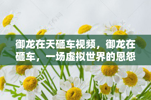 一场虚拟世界的恩怨情仇图片