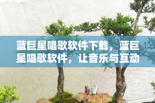 让音乐与互动共舞的新篇章图片