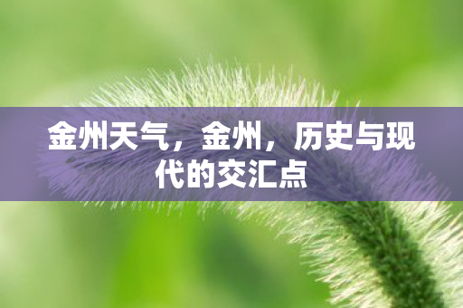 历史与现代的交汇点图片