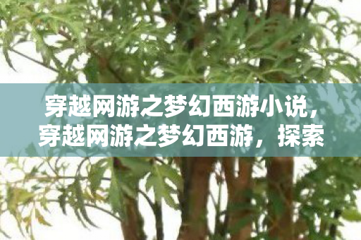 探索虚拟与现实的奇妙交织图片