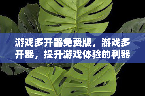 游戏多开器免费版，游戏多开器，提升游戏体验的利器还是违规操作的隐患？