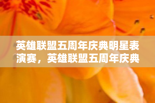 英雄联盟五周年庆典明星表演赛图片