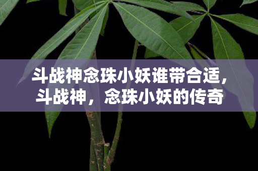 斗战神念珠小妖谁带合适图片