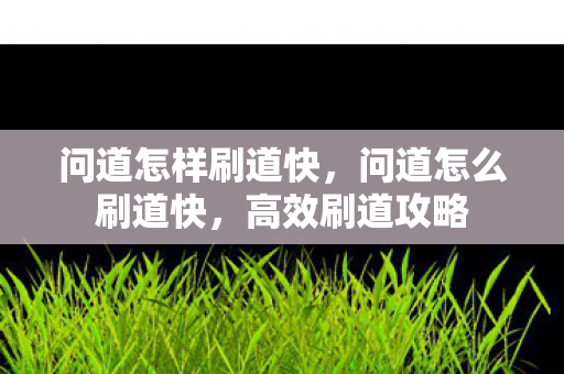 问道怎样刷道快，问道怎么刷道快，高效刷道攻略