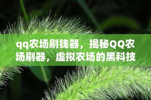 qq农场刷钱器，揭秘QQ农场刷器，虚拟农场的黑科技与道德边界