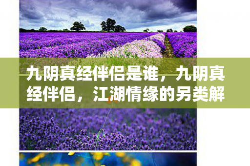 九阴真经伴侣是谁，九阴真经伴侣，江湖情缘的另类解读