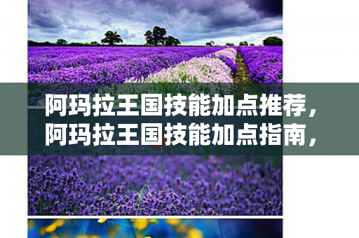 阿玛拉王国技能加点推荐，阿玛拉王国技能加点指南，打造你的专属战斗风格