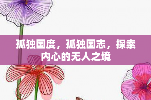 孤独国度，孤独国志，探索内心的无人之境