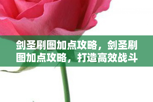 剑圣刷图加点攻略，剑圣刷图加点攻略，打造高效战斗力的关键