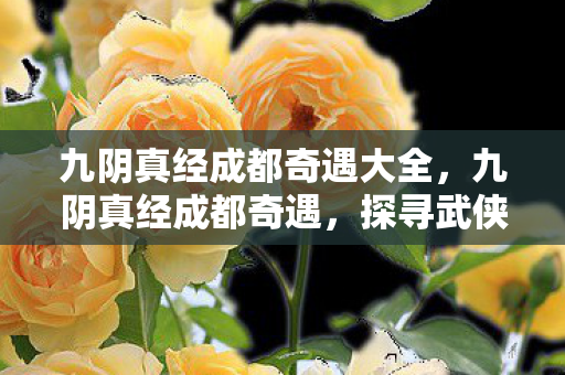 九阴真经成都奇遇大全，九阴真经成都奇遇，探寻武侠世界的神秘面纱