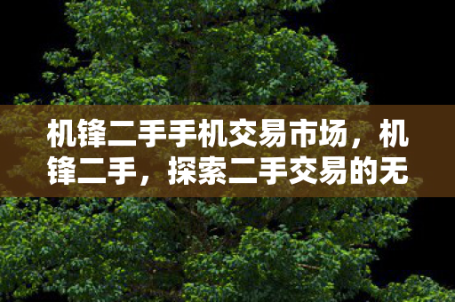 机锋二手手机交易市场，机锋二手，探索二手交易的无限可能