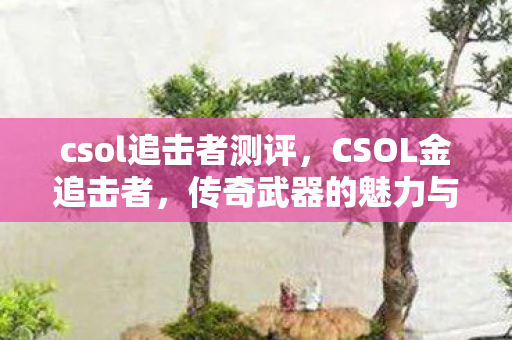 csol追击者测评，CSOL金追击者，传奇武器的魅力与游戏文化的深度探索
