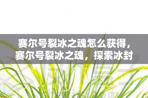 赛尔号裂冰之魂怎么获得图片