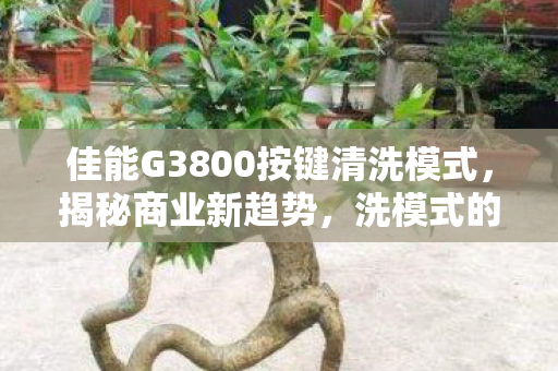 佳能G3800按键清洗模式图片