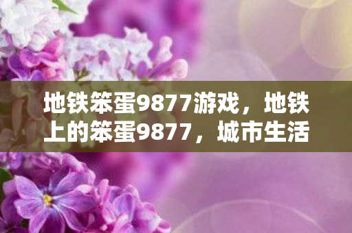 地铁笨蛋9877游戏图片