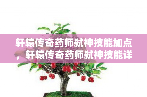 轩辕传奇药师弑神技能加点图片