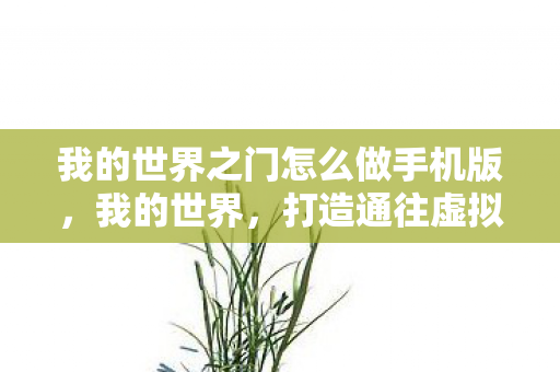 打造通往虚拟世界的神秘之门图片