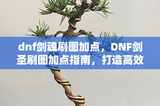 DNF剑圣刷图加点指南图片