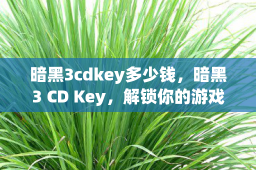 暗黑3cdkey多少钱，暗黑3 CD Key，解锁你的游戏之旅