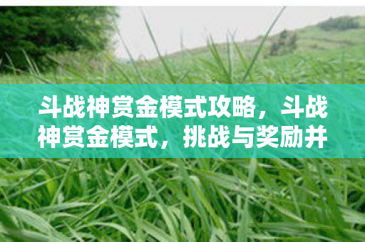 挑战与奖励并存的全新体验图片