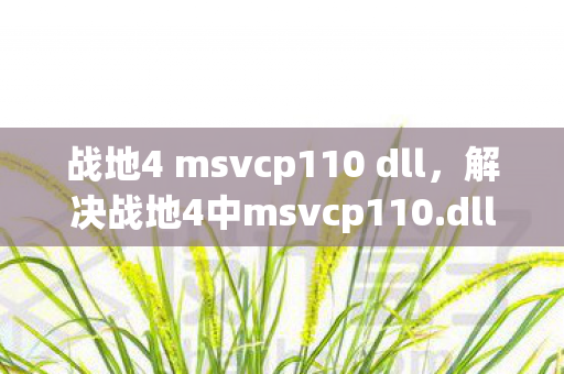 战地4 msvcp110 dll图片