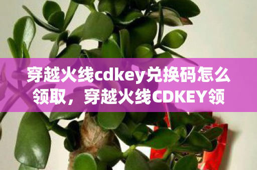 穿越火线cdkey兑换码怎么领取图片