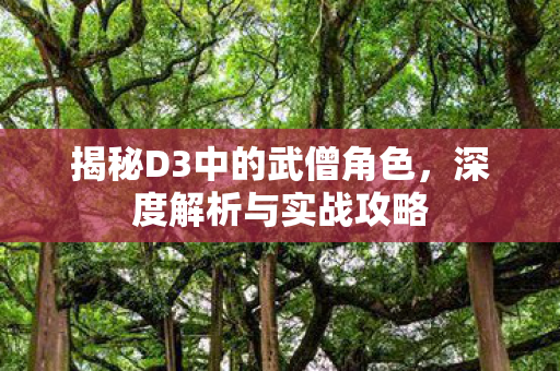 揭秘D3中的武僧角色，深度解析与实战攻略