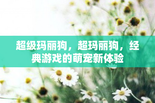 经典游戏的萌宠新体验图片