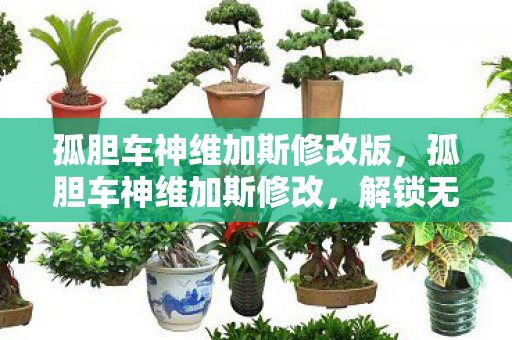 孤胆车神维加斯修改版图片