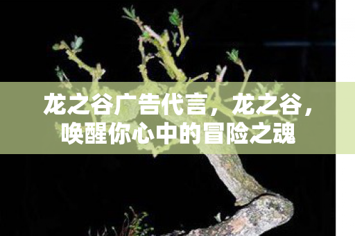 唤醒你心中的冒险之魂图片