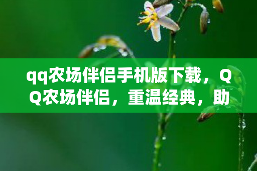 qq农场伴侣手机版下载图片