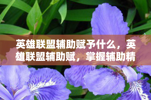 英雄联盟辅助赋予什么图片