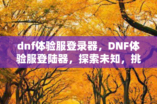 dnf体验服登录器图片