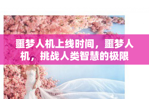 挑战人类智慧的极限图片