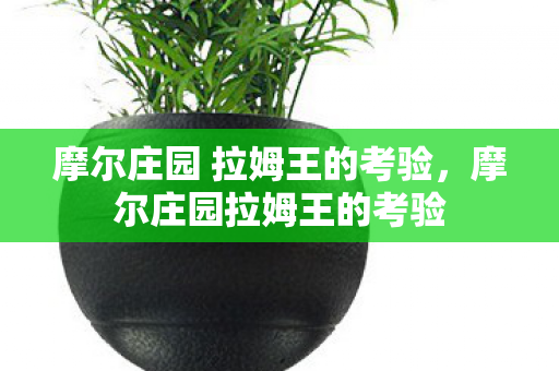 摩尔庄园 拉姆王的考验图片