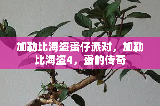 加勒比海盗蛋仔派对图片